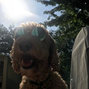 Meet your Posher, Cayla